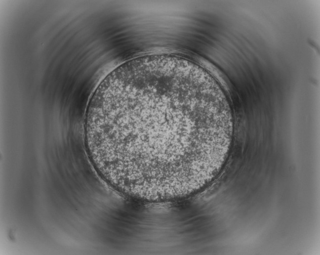 X0000094380810200711301359
