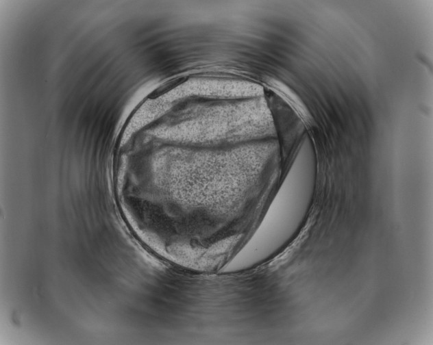 X0000094380812200711301359