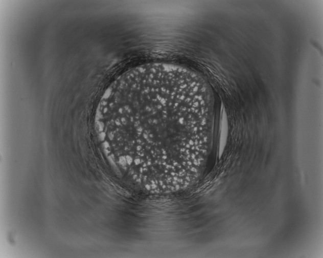 X0000094380817200711301358
