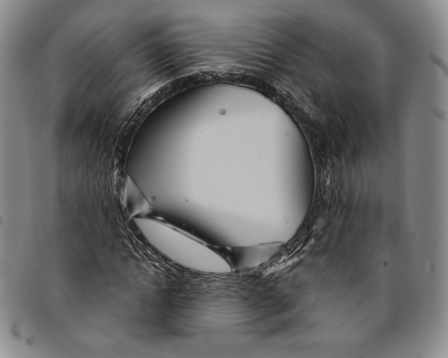 X0000094380822200711301358