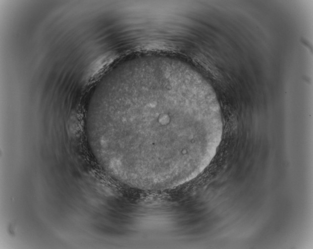 X0000094380824200711301358