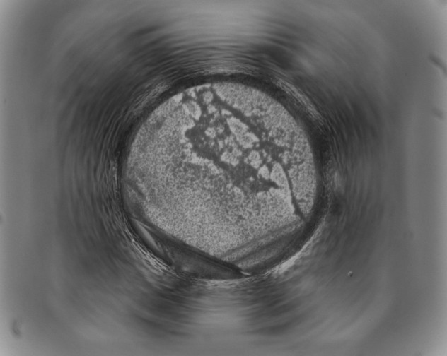 X0000094380825200711301358