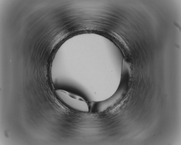 X0000094380826200711301358