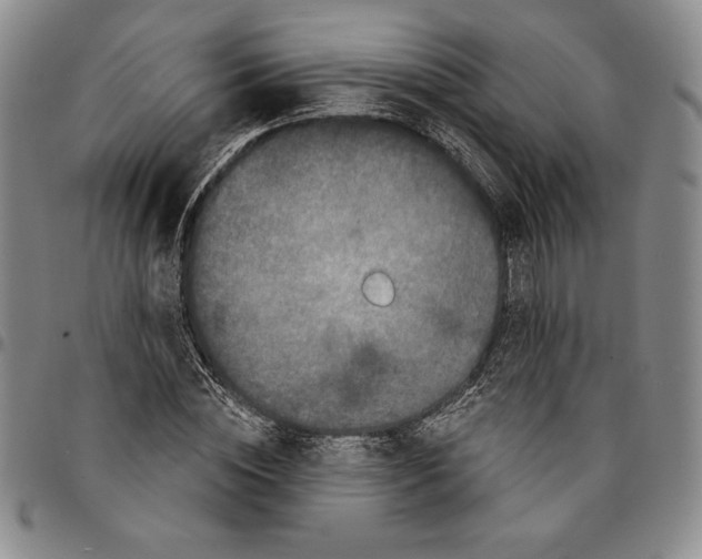 X0000094380828200711301358