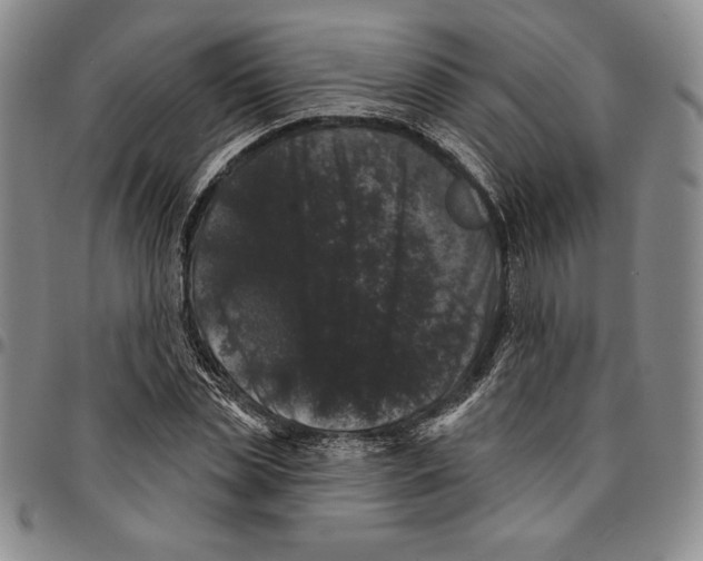 X0000094380829200711301358