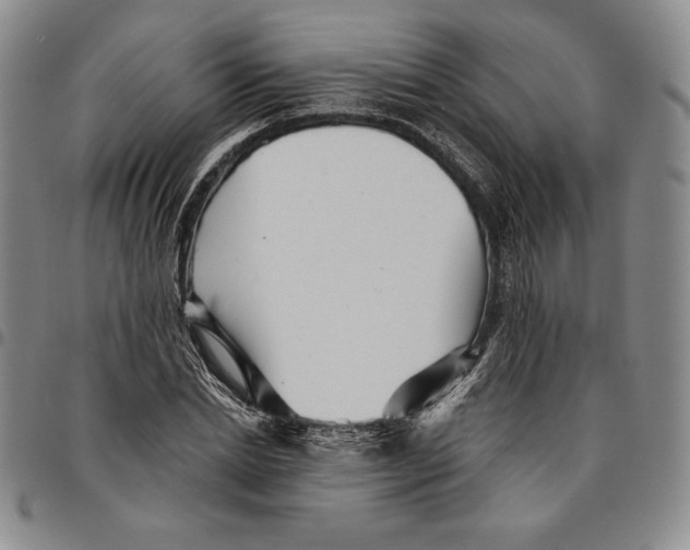 X0000094380830200711301358
