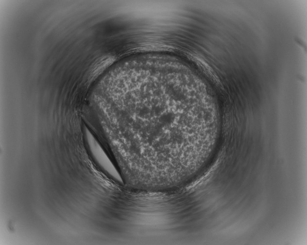 X0000094380833200711301359
