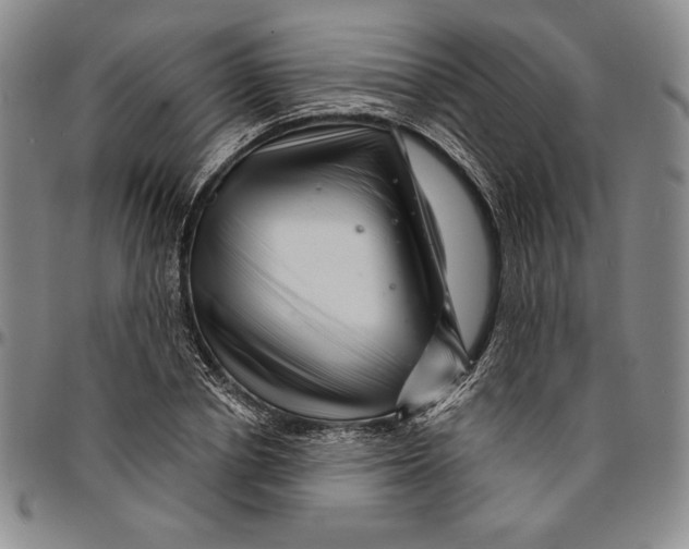 X0000094380834200711301359