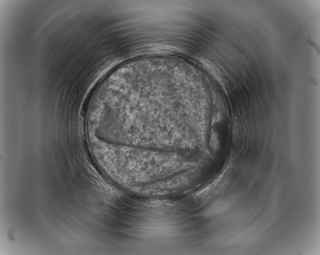 X0000094380835200711301359