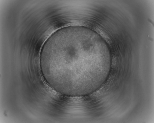 X0000094380836200711301359