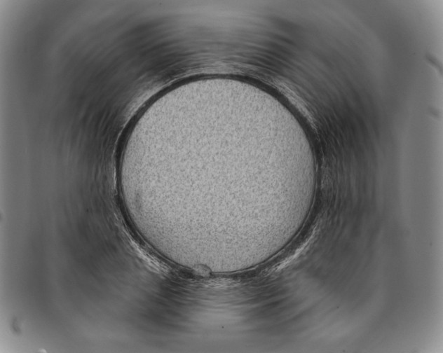 X0000094380837200711301359