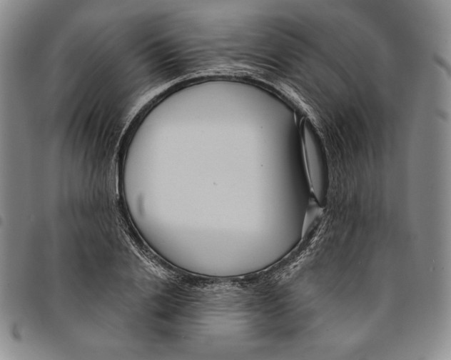 X0000094380838200711301359
