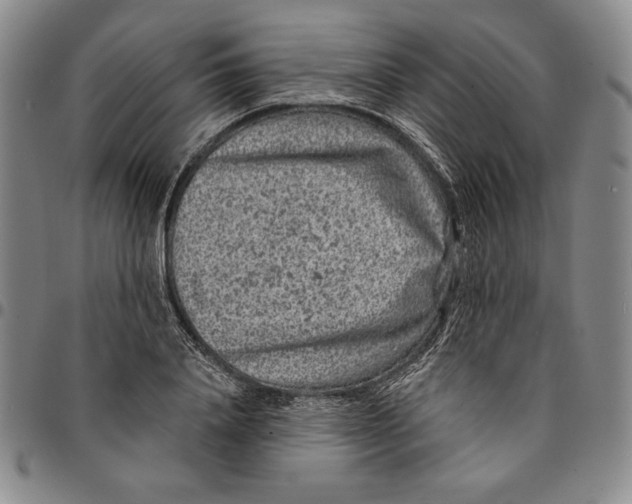 X0000094380840200711301359