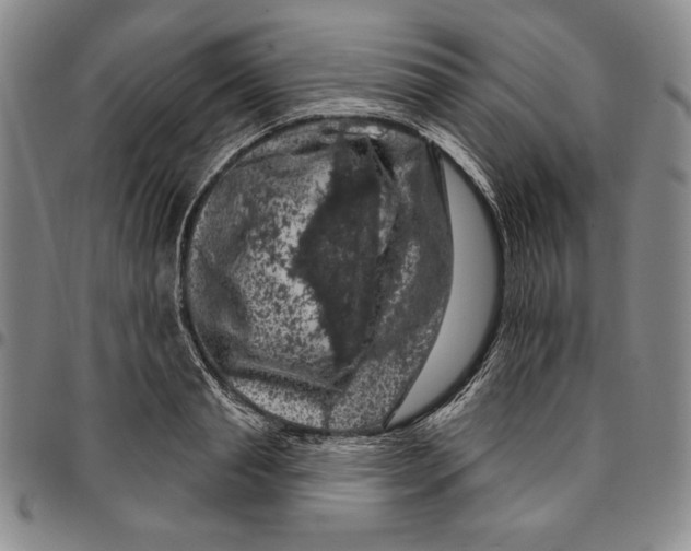 X0000094380845200711301359