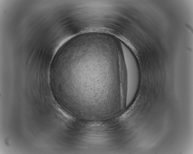X0000094380846200711301359