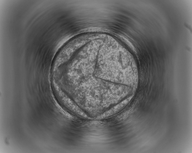 X0000094380847200711301359