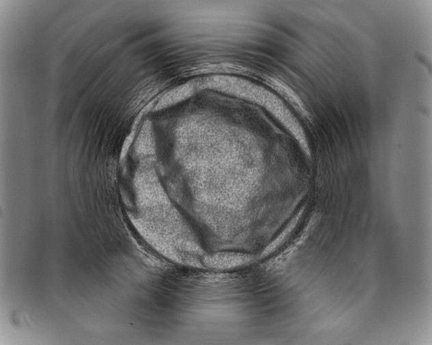 X0000094380849200711301359
