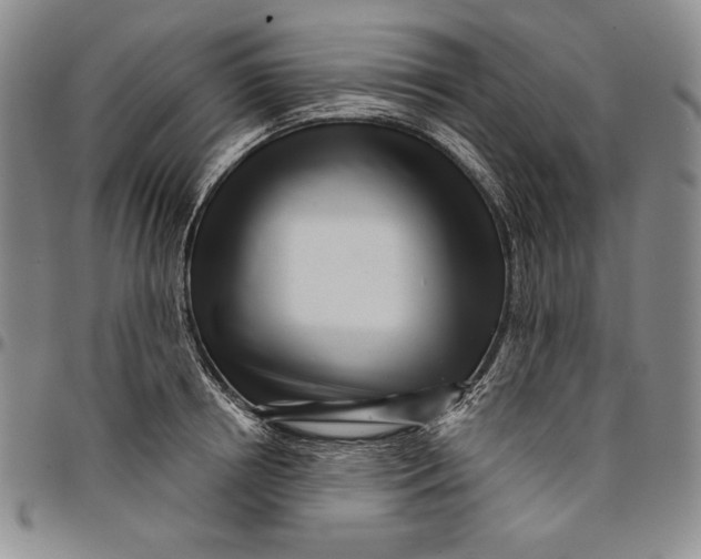X0000094380850200711301359