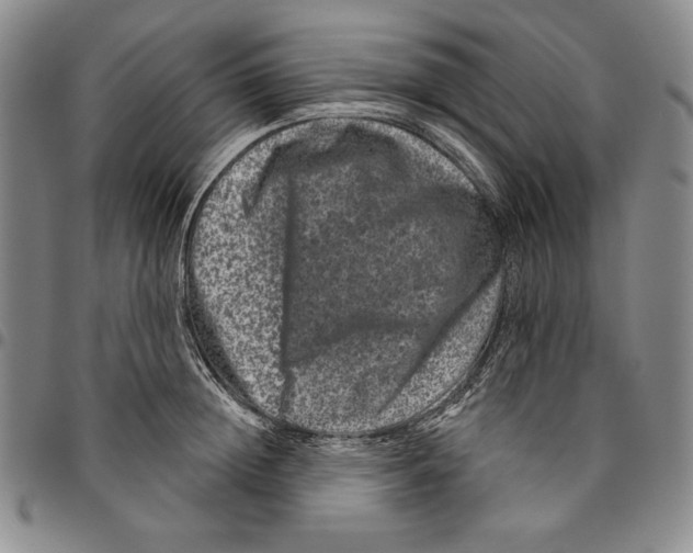 X0000094380852200711301359