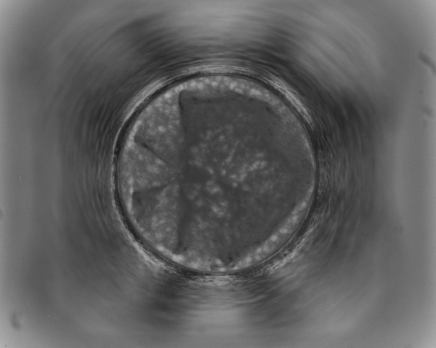 X0000094380853200711301359