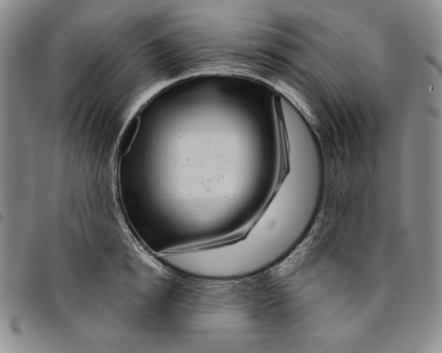 X0000094380854200711301359