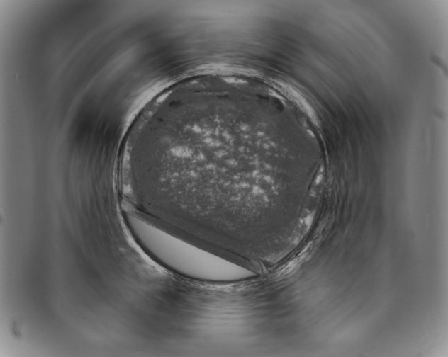 X0000094380855200711301359