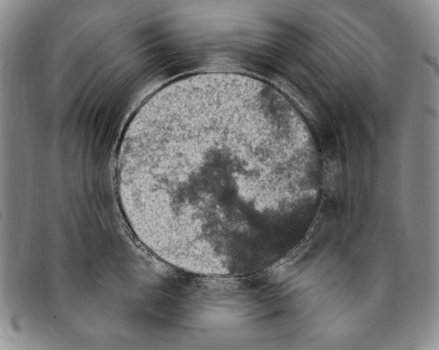 X0000094380856200711301359