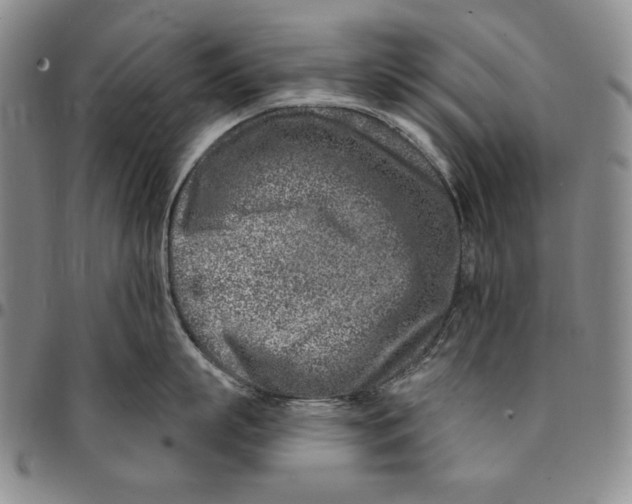 X0000094380863200711301359