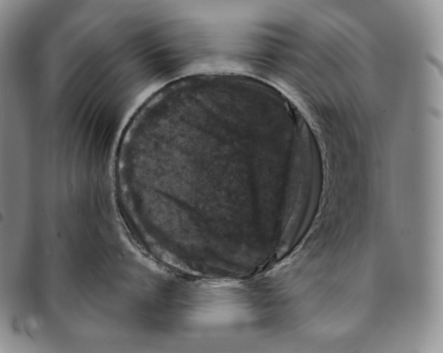 X0000094380864200711301359