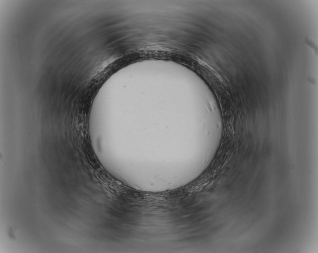 X0000094380870200711301358