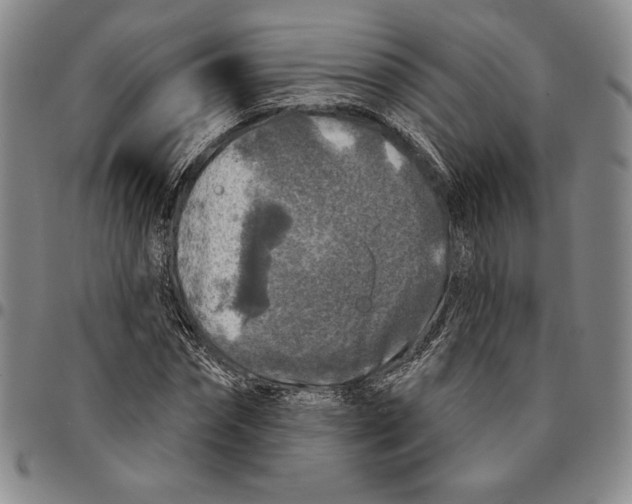 X0000094380874200711301358