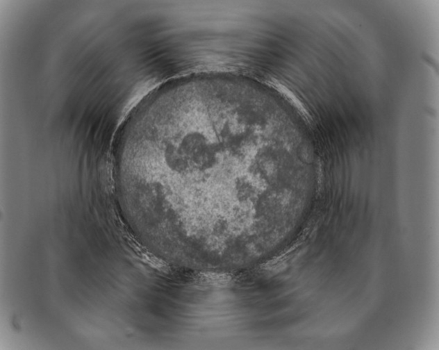 X0000094380878200711301358