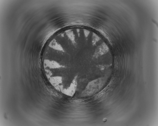 X0000094380879200711301358