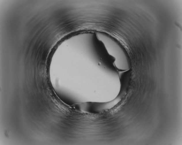 X0000094380880200711301358