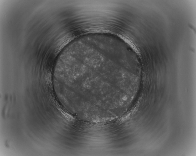 X0000094380881200711301358