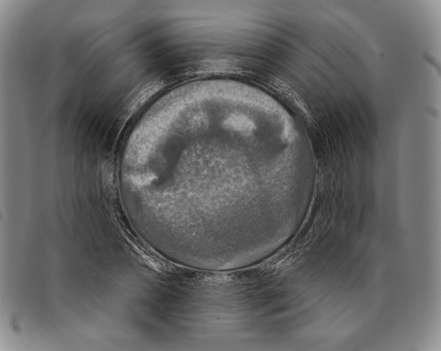 X0000094380882200711301358