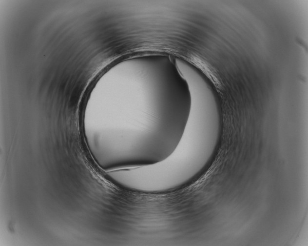 X0000094380884200711301358