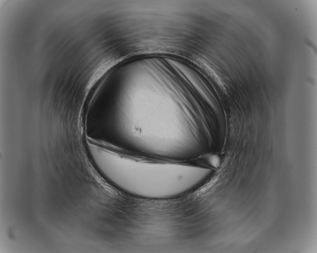 X0000094380885200711301358