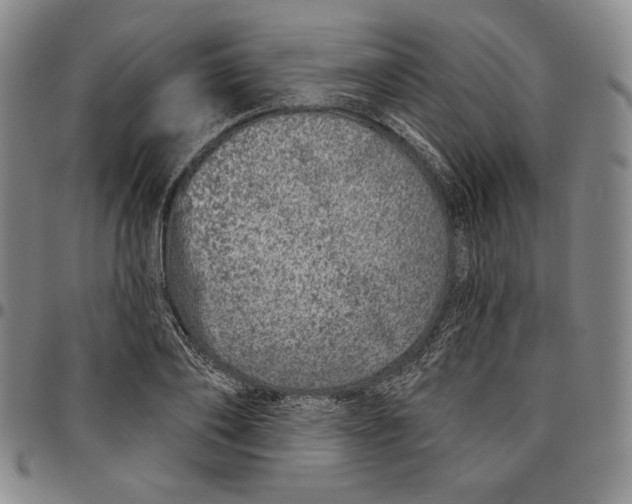 X0000094380886200711301358