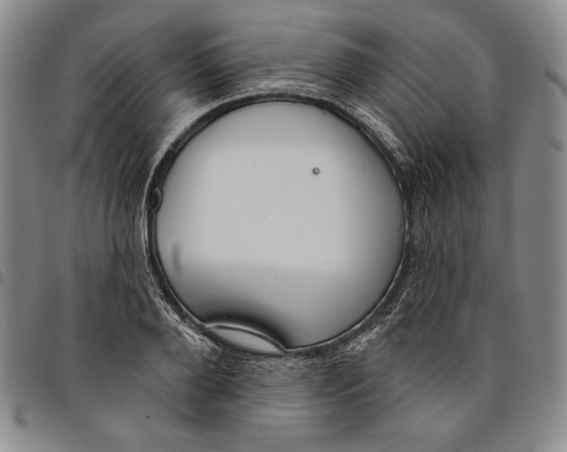 X0000094380888200711301358