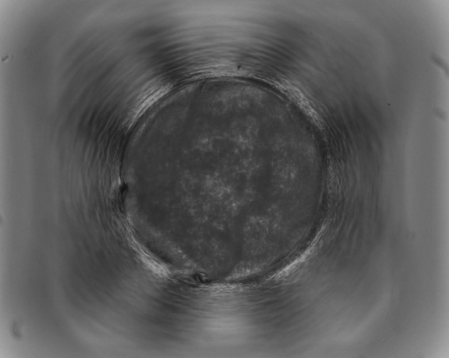 X0000094380889200711301358