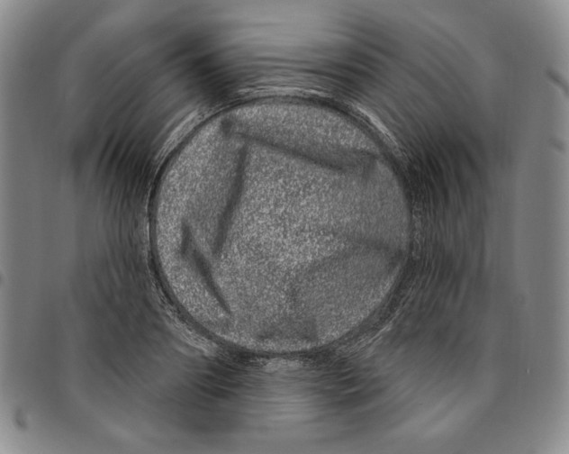 X0000094380890200711301358