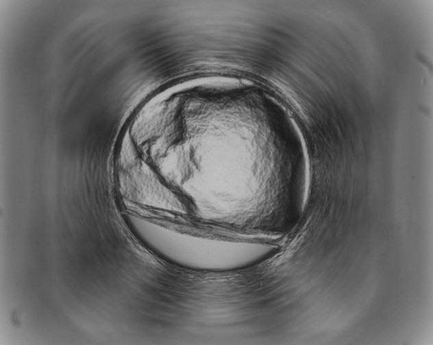 X0000094380891200711301358