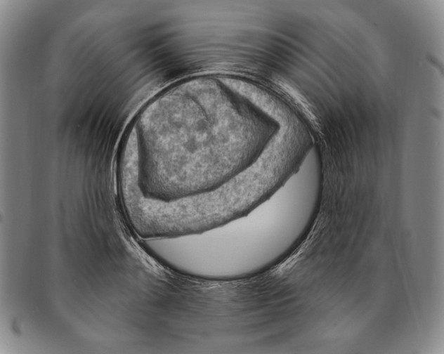 X0000094380892200711301358