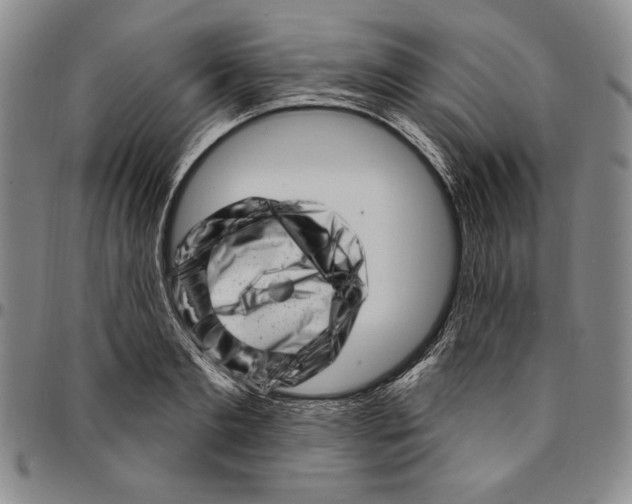 X0000094380893200711301358