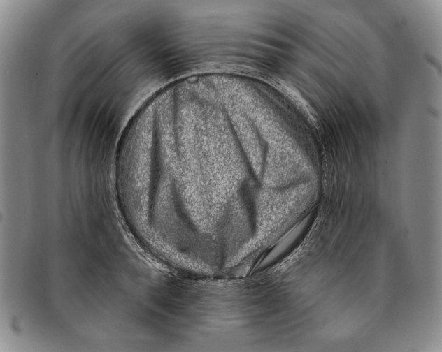 X0000094380896200711301358