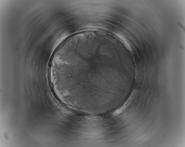 X0000094380899200711301358