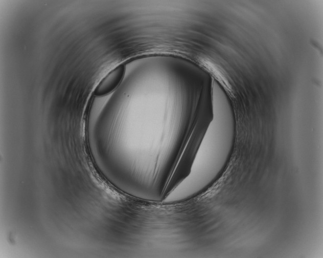 X0000094380900200711301358