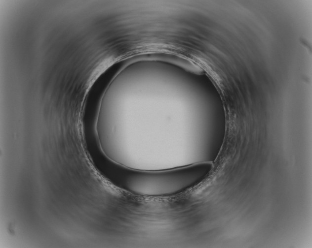 X0000094380901200711301358