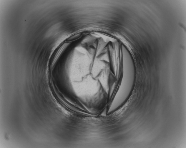 X0000094380902200711301358